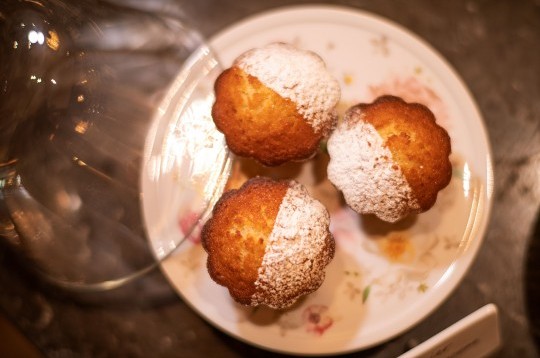 Drei Küchlein sind mit Puderzucker bestreut auf einem weißen Teller angerichtet.