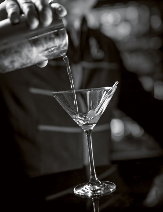 Green Horse Bar Barkeeper