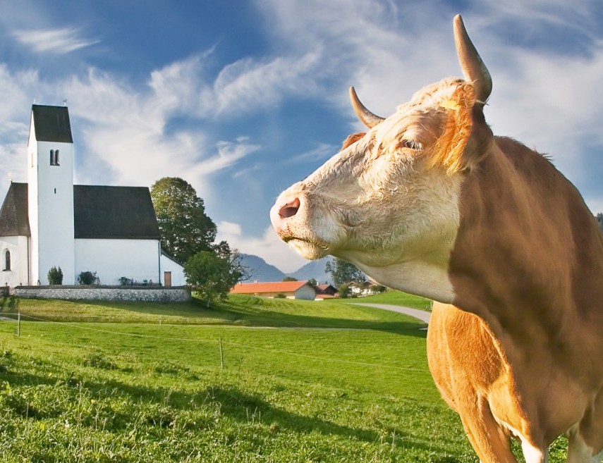 bio_2_hirschburger_lo