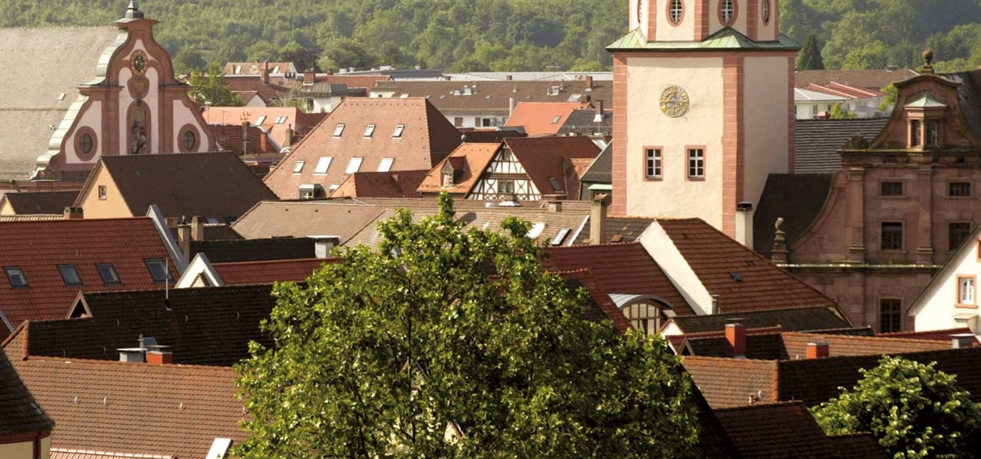 Blick von oben auf die Stadt Ettlingen