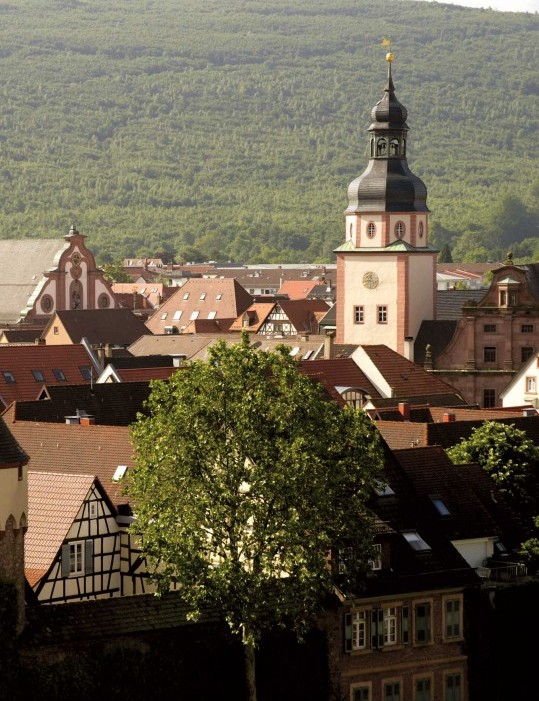 Blick von oben auf die Stadt Ettlingen