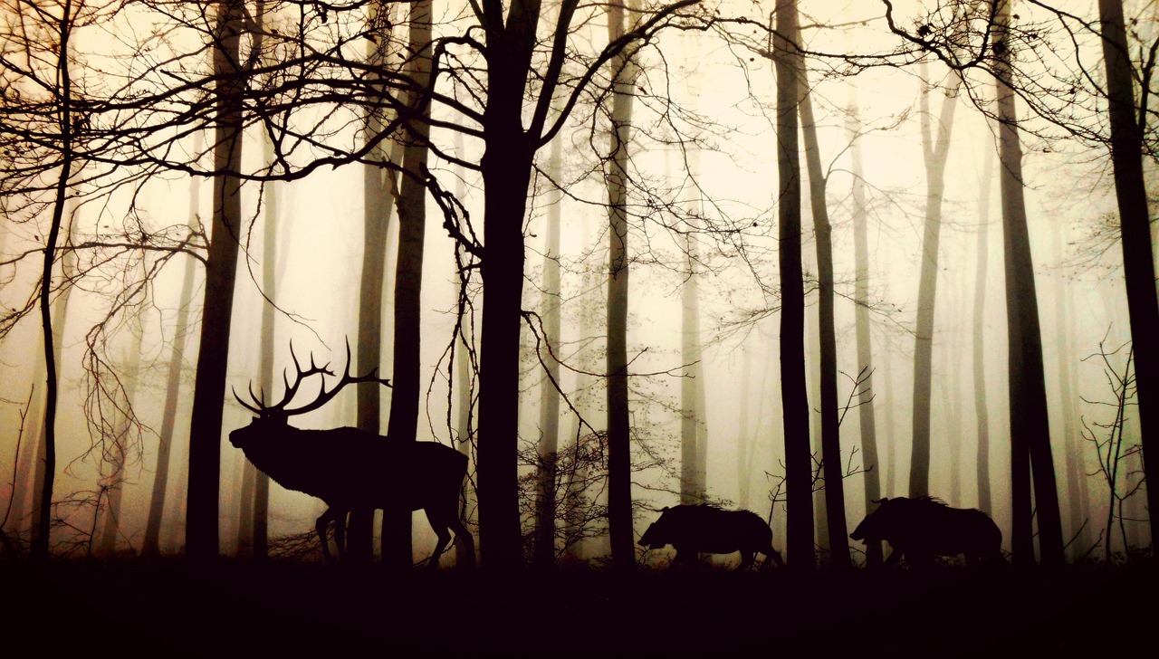Wilder Wald mit Hirschen und Rehen