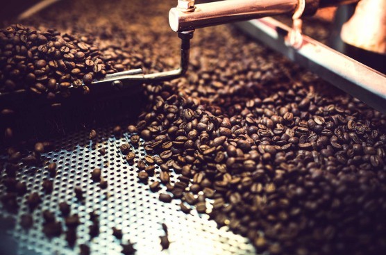 Erbprinz Rahmenprogramm