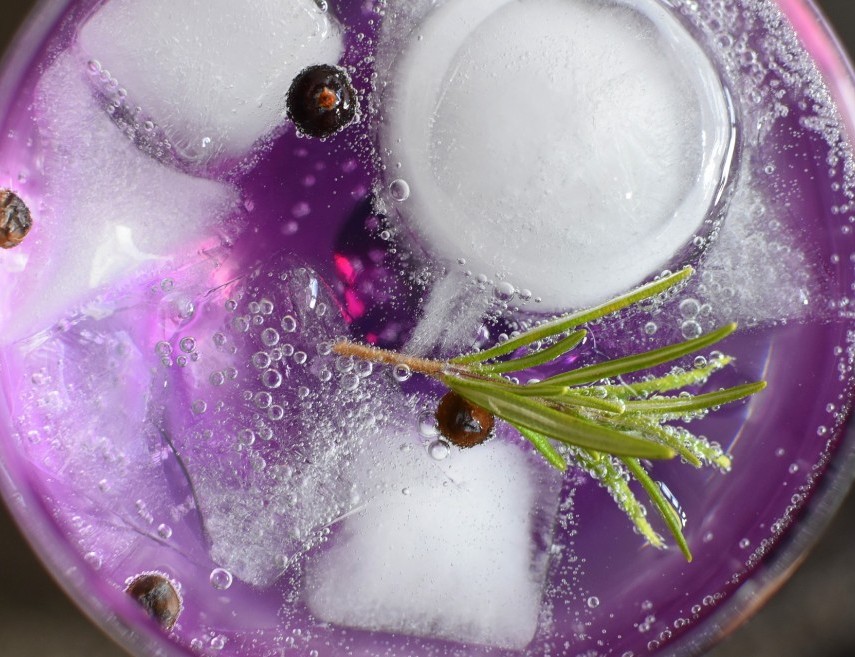 gin-tonic-1859465_1920